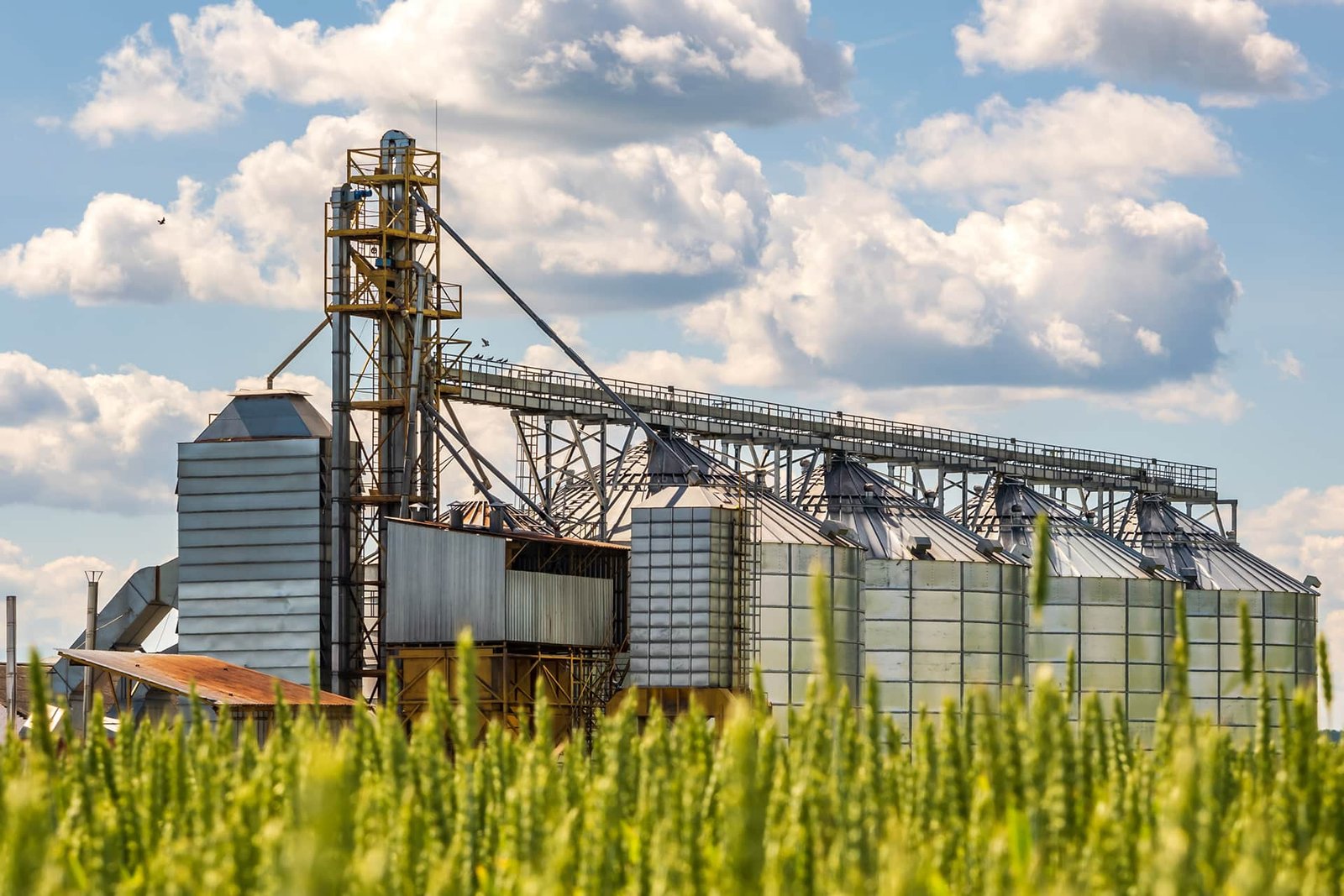 Future of Farming: Trends Transforming Modern Agriculture Industry