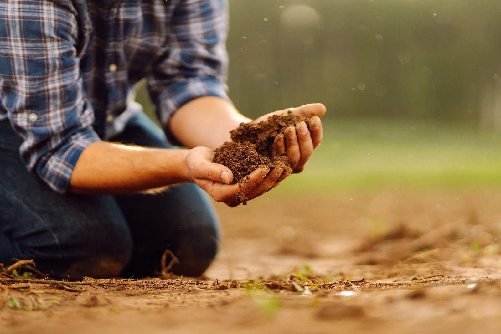 How Sustainable Farming Improves Soil Health and Crop Quality