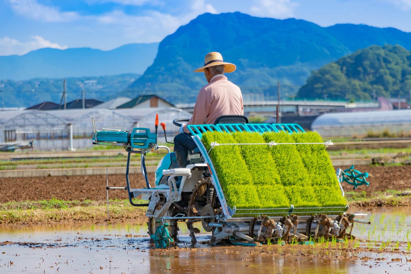 Smart Agriculture: Modern Farming Methods for Higher Productivity