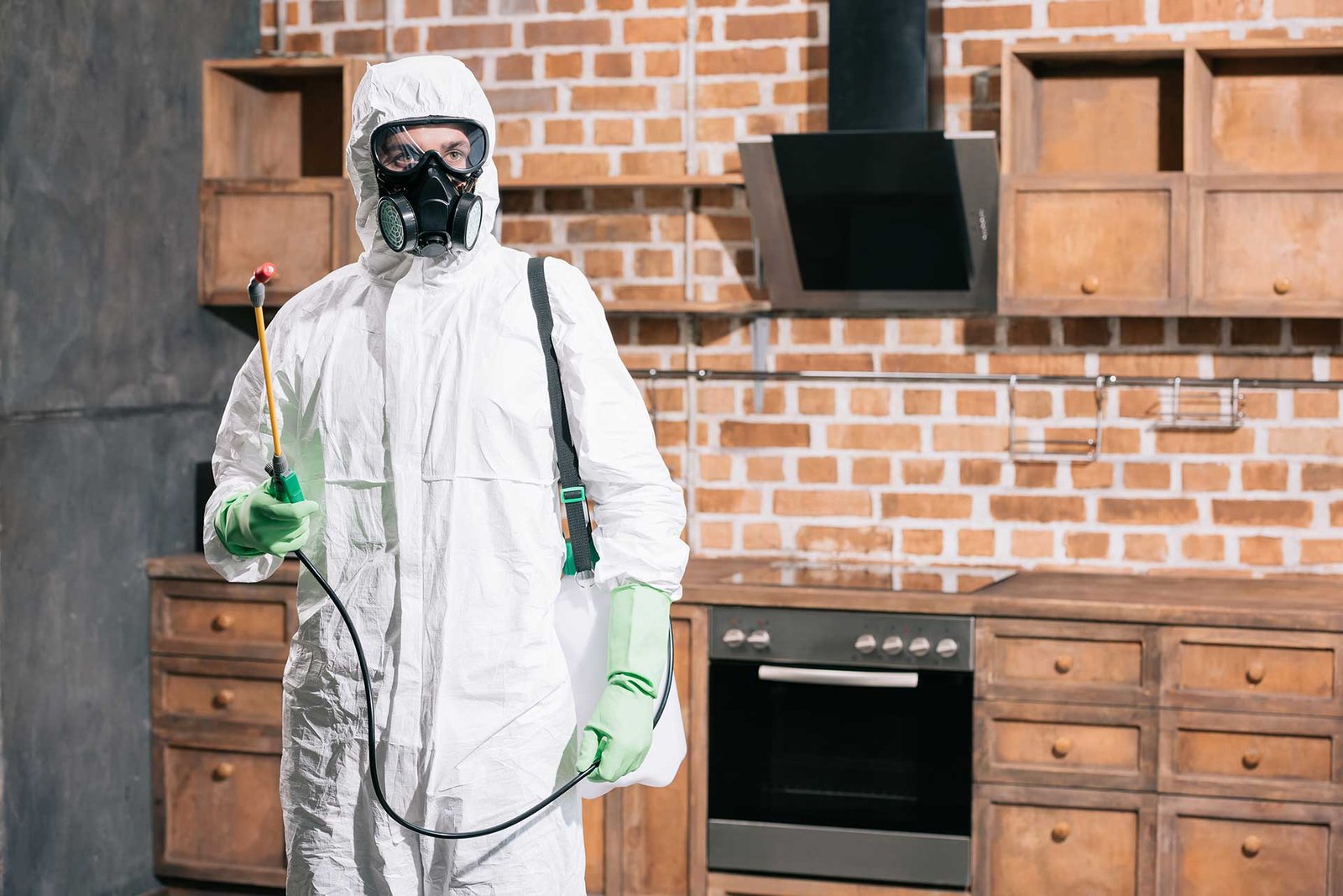 DIY vs Professional Extermination: Which Saves More Money Long-Term?