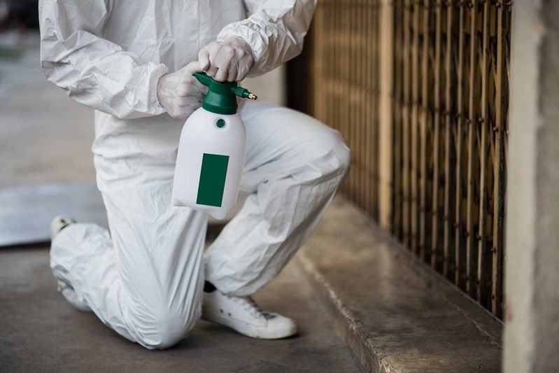 Are Eco-Friendly Pest Control Treatments Safe for Children and Pets?