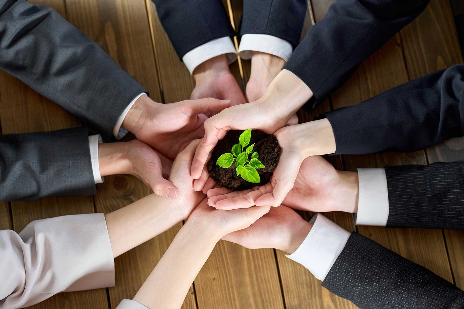 Smart Ways To Scale Your Business Without Losing Efficiency