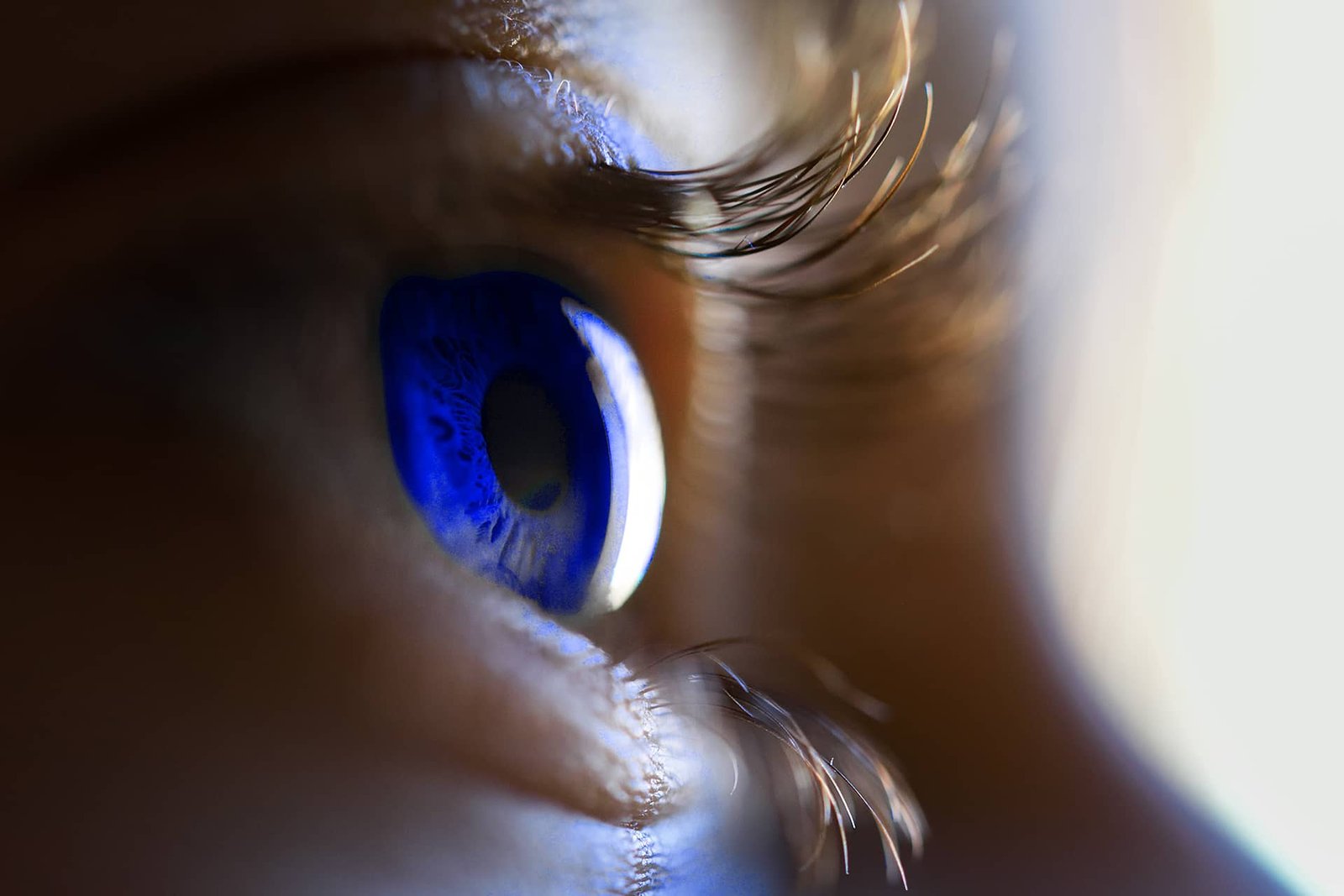 Your Vision, Our Canvas: Discover the Magic of Our Creative Agency Services